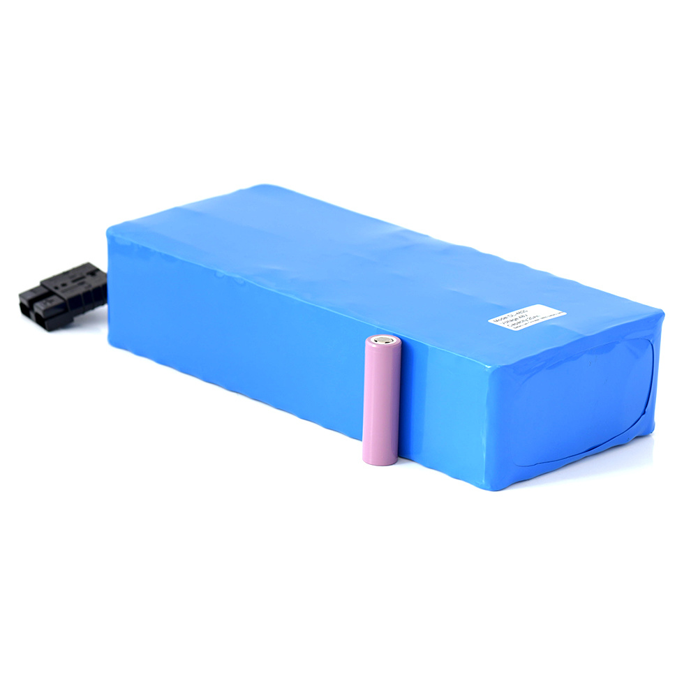 Lithium Ion Li Ion Battery Pack 48V 20Ah pour eBike
