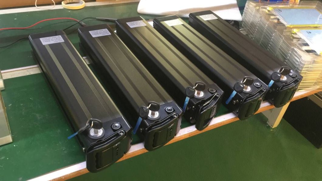 15Ah batería recargable de litio de 48V 10Ah para Ebike 500W Scooters Akku