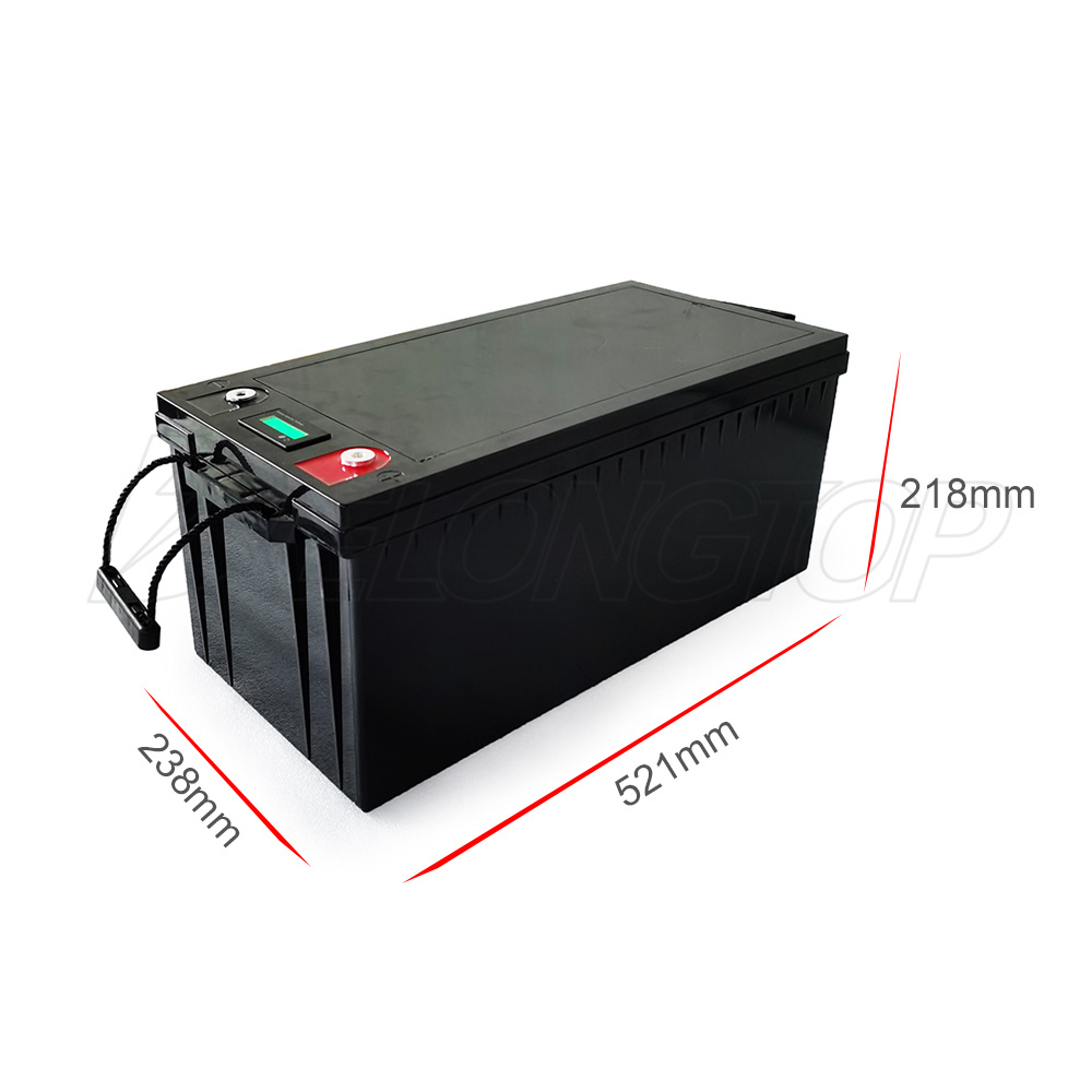 Paquet de batterie Lithium Ion LifePO4 avec BMS 24V 100Ah pour système d'alimentation éolienne solaire