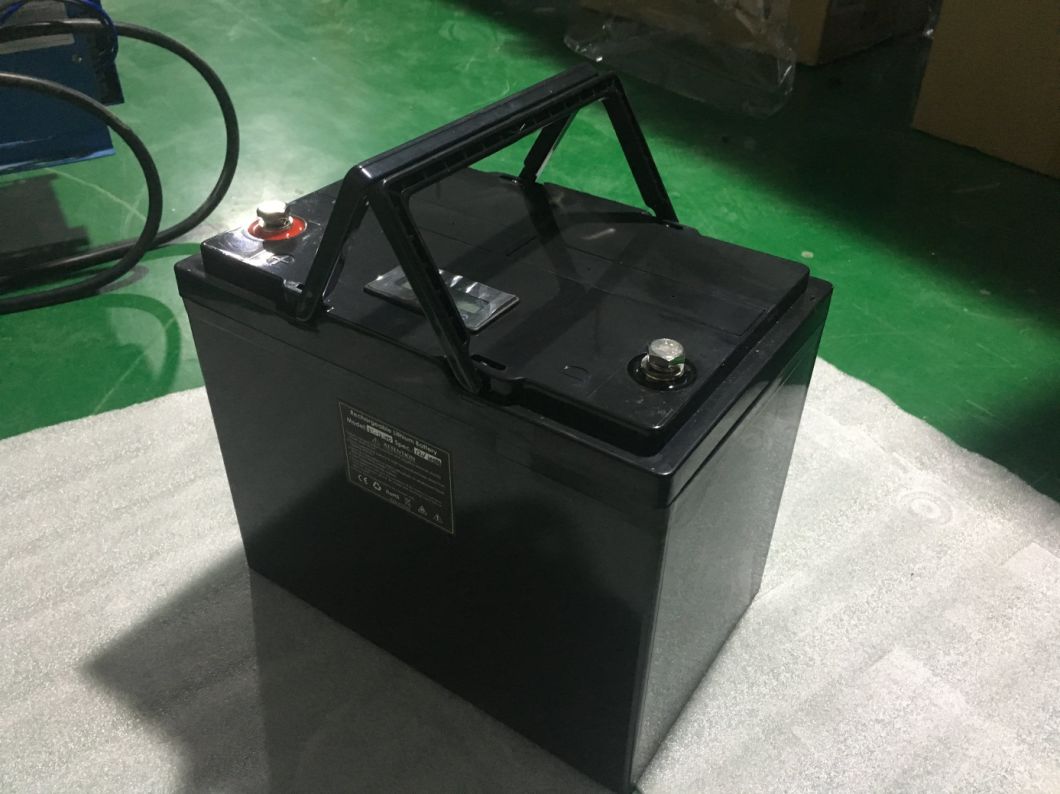 Portable Batterie au lithium-ion LiFePO4 de pack 12V 100Ah de