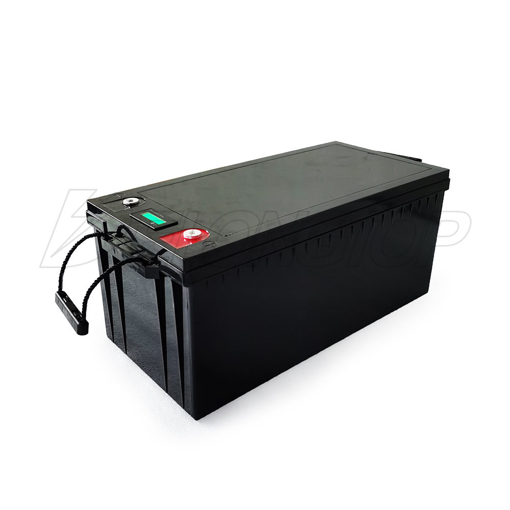 Paquet de batterie Lithium Ion LifePO4 avec BMS 24V 100Ah pour système d'alimentation éolienne solaire
