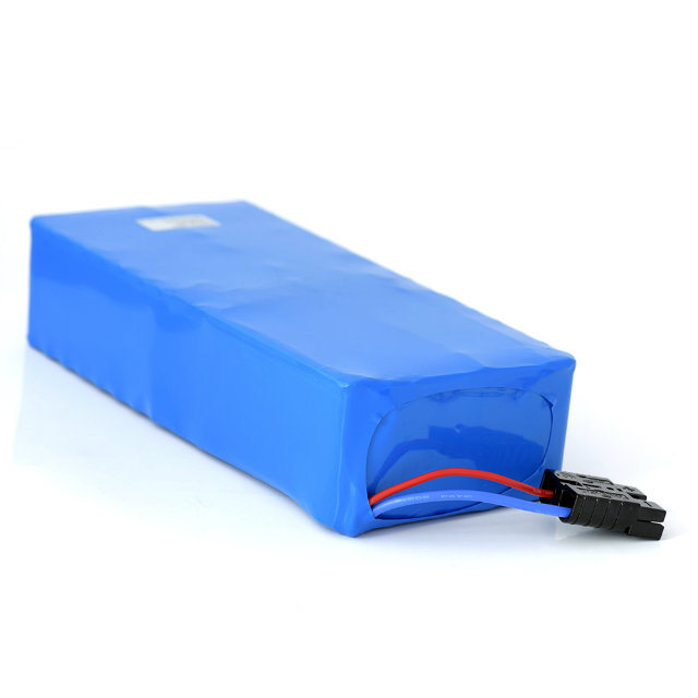 1000W 48V Li-ion Batterie au lithium pour vélo électrique