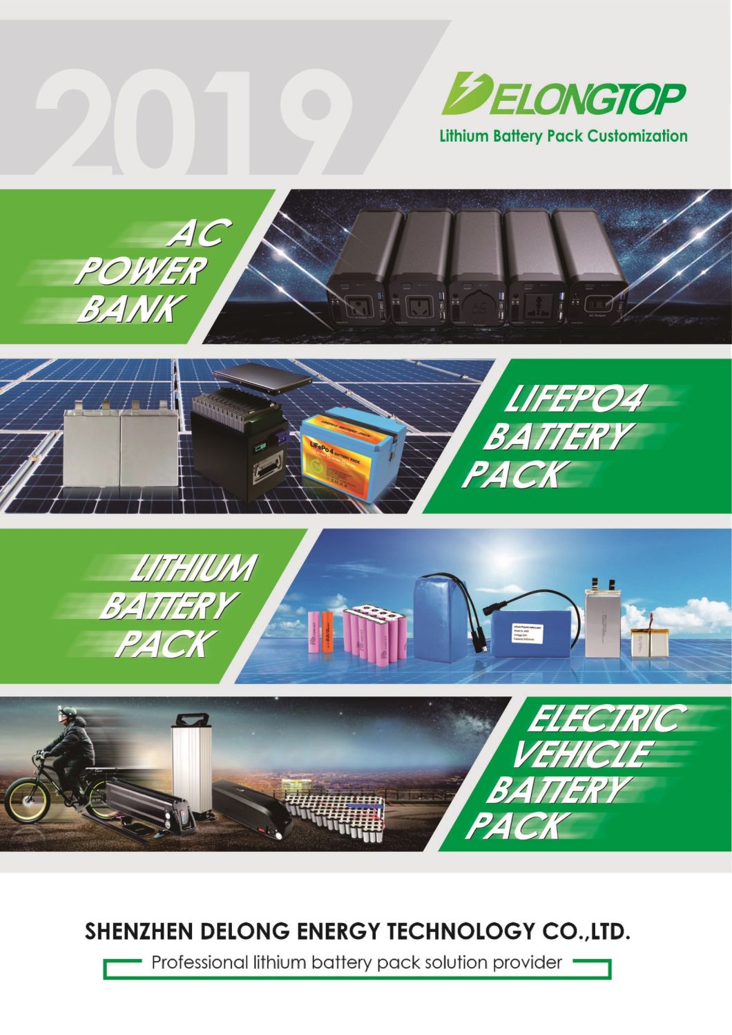 1000W LiFePO4 Lithium-Polymer-Akku 40Ah 48V für Elektrofahrzeuge