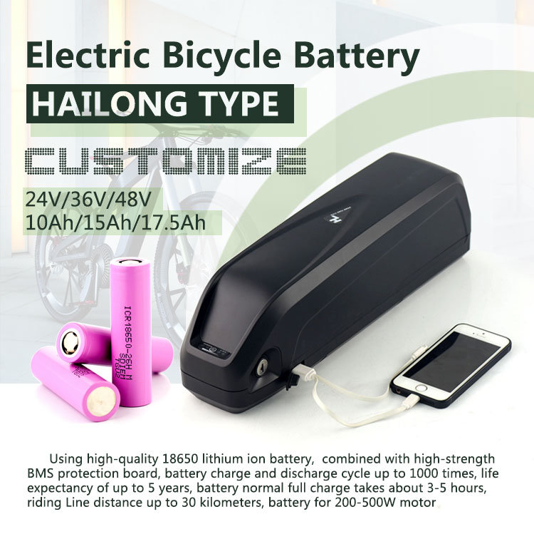 Batterie électrique de vélo électrique 36V 10Ah Batterie eBike avec étui Hailong