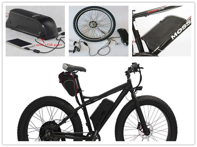 Batterie Dolphin Down Type de tube Ebike Batterie de lithium de bicyclettes 48V 13Ah Batterie au lithium