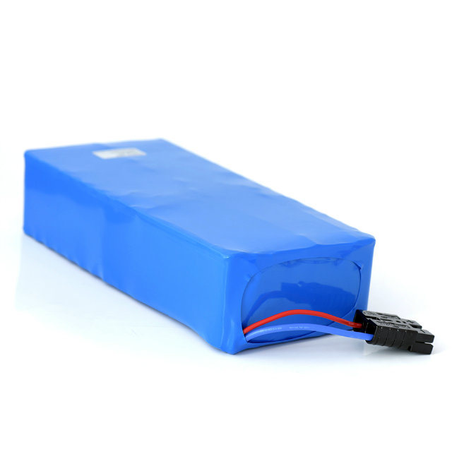 1000W 48V Li-ion Batterie au lithium pour vélo électrique