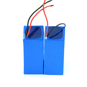 Wholesale Lithium Ion Battery 12V 20ah China Manufacturer