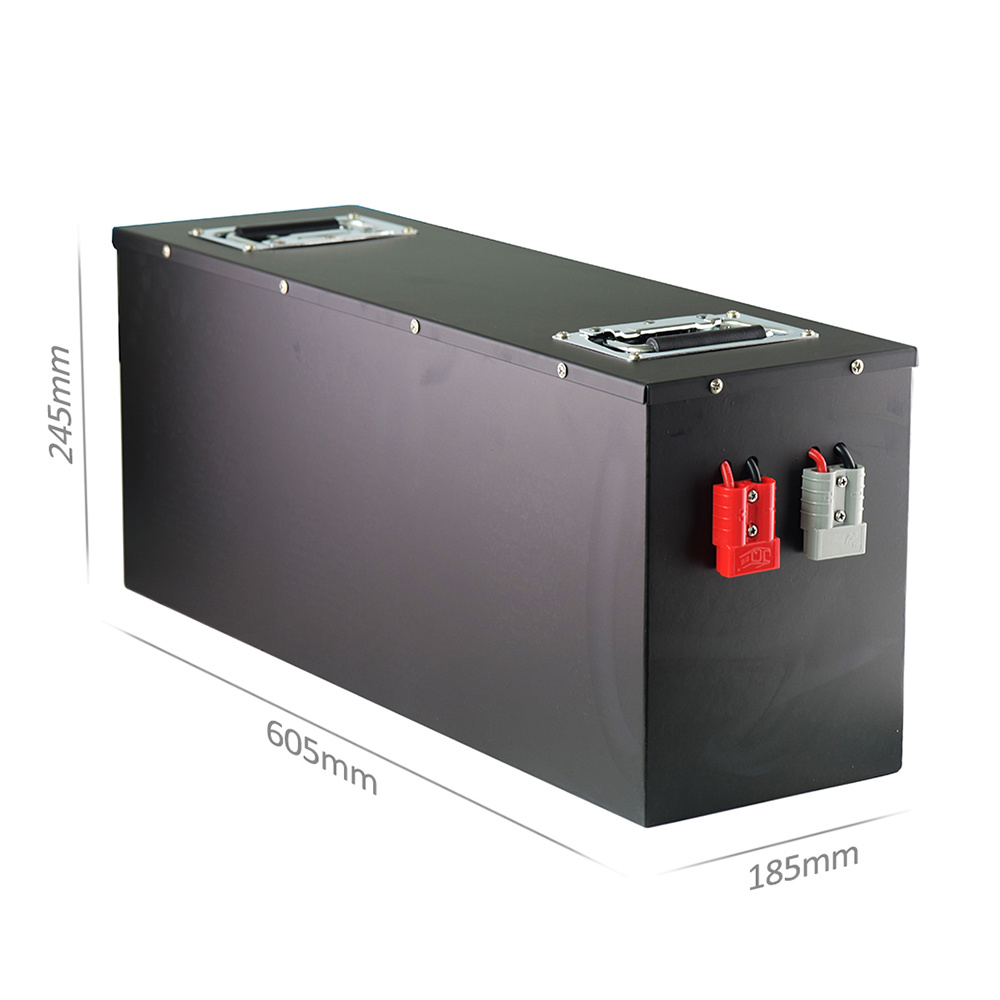 リチウムLiFePO4電池パック48V 100AH
