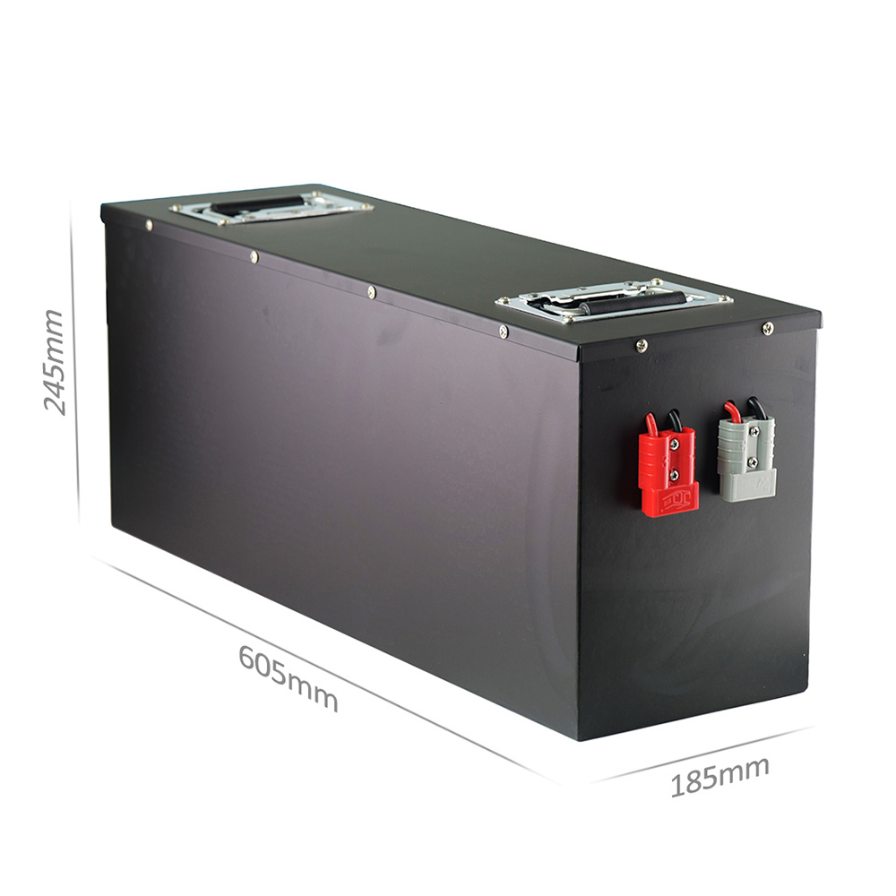 Lithium LifePo4-Akku 48V 100Ah