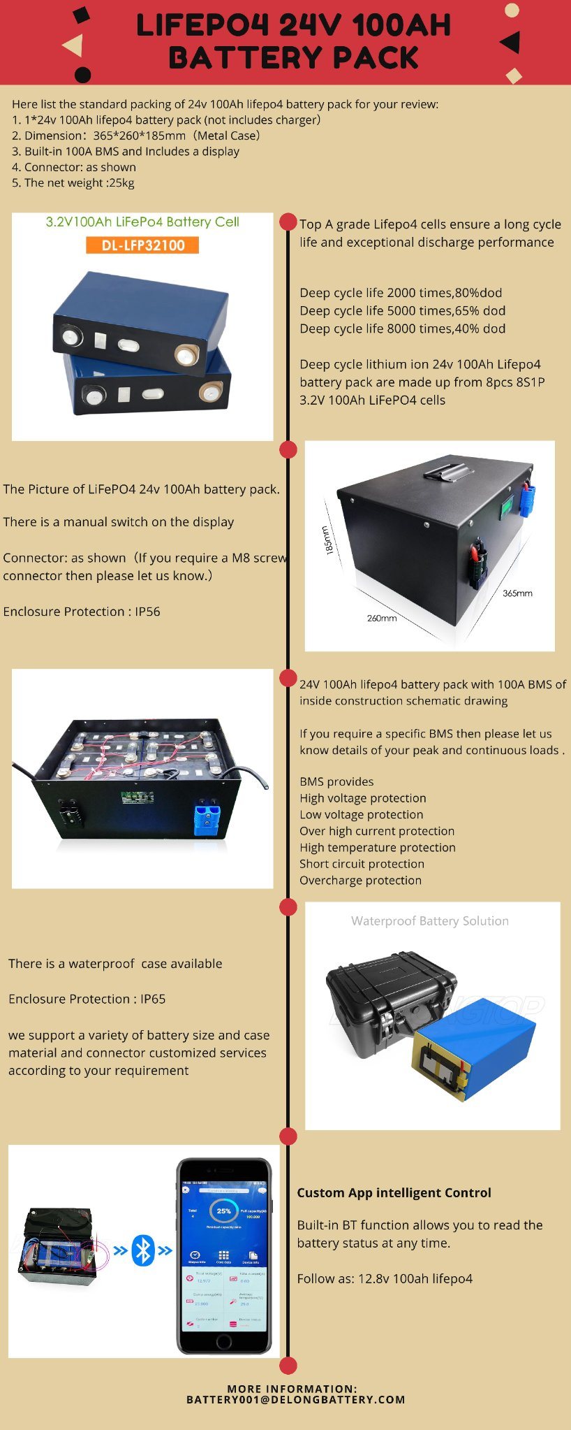 Batterie au lithium à cycle profond 24V 100ah LifePO4 batterie