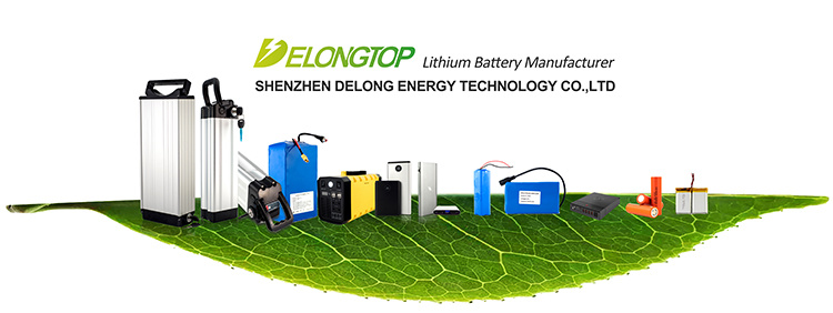 Paquet de batterie Lithium Ion LifePO4 avec BMS 24V 100Ah pour système d'alimentation éolienne solaire