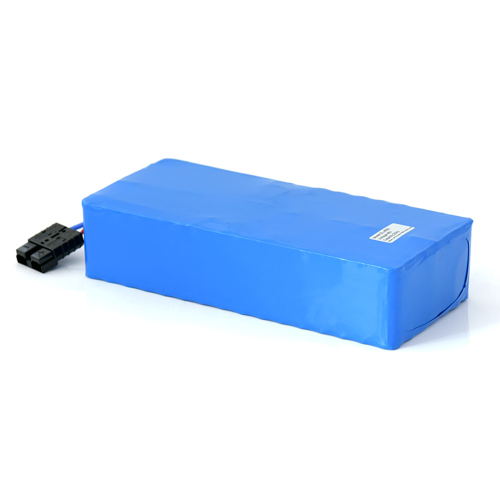 Lithium Ion Li Ion Battery Pack 48V 20Ah pour eBike