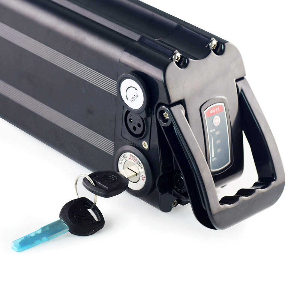 Batterie de poissons d'argent de vélo lithium-ion 48V 20Ah