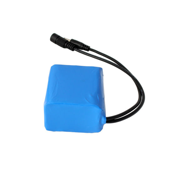 Light Weight Rechargeable 12V 4ah Lithium Battery Pack for LED Light