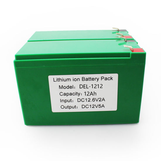 12V Lithium Polymer Battery Pack