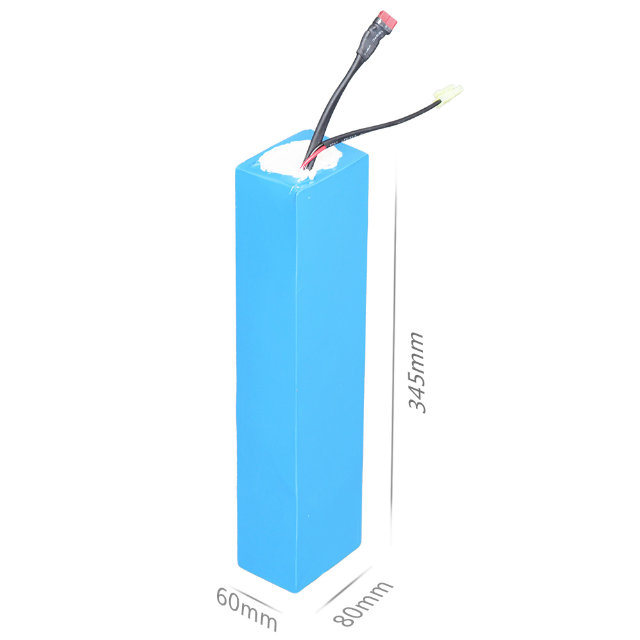 Großhandel 48V Lithium-Ionen-Batterie für kleines Gerät