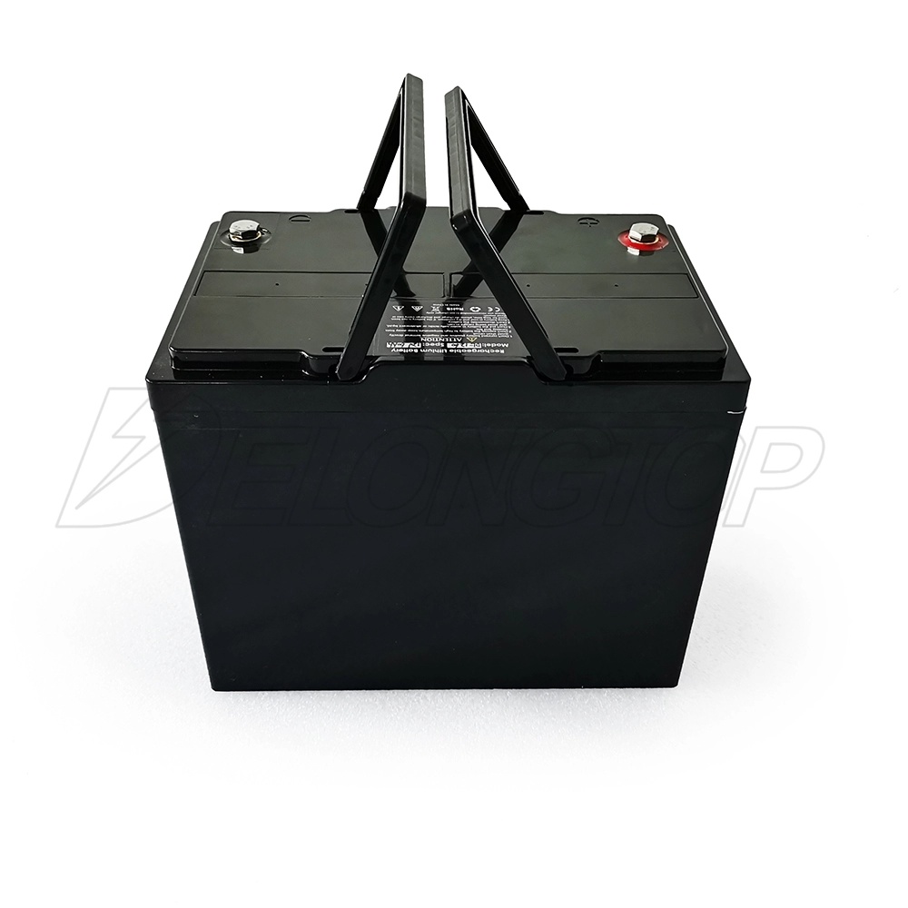 Tragbare Lithium-Ionen-Batterie LiFePO4 4S2P-Pack 12 V 100 Ah