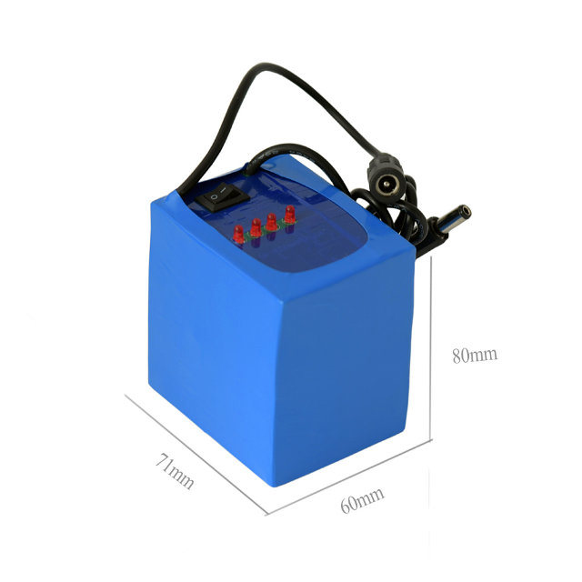 Pack de batterie au lithium de 12V 6000MAH 18650 rechargeable pour la lumière LED